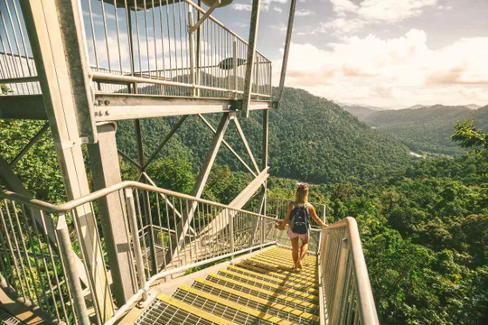 Mamu Tropical Skywalk Entry Tickets