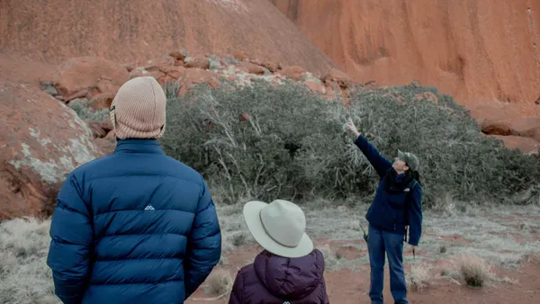 Uluru Morning Guided Base Walk including Breakfast Tour