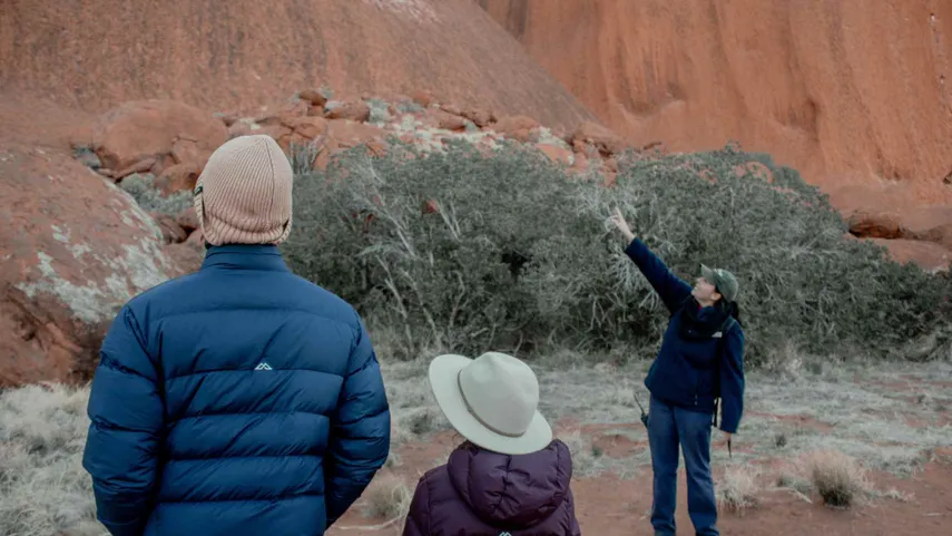 Uluru Morning Guided Base Walk including Breakfast | Experience Oz