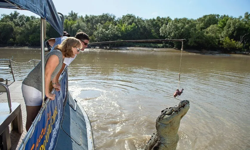 Adelaide River Jumping Crocodile Cruise - Book Now | Experience Oz