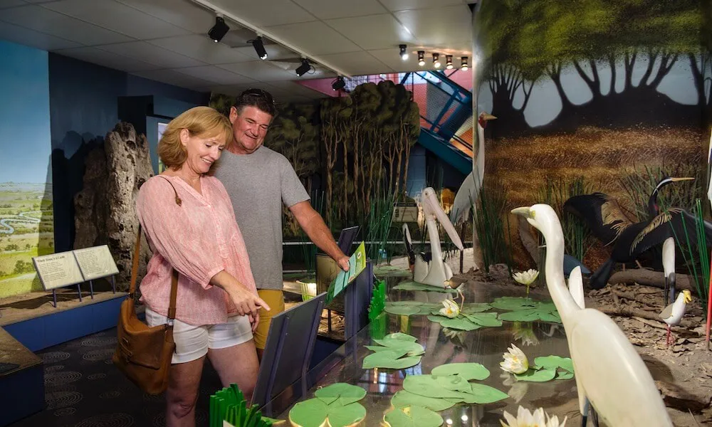 Adelaide River Jumping Crocodile Cruise - Book Now | Experience Oz-5