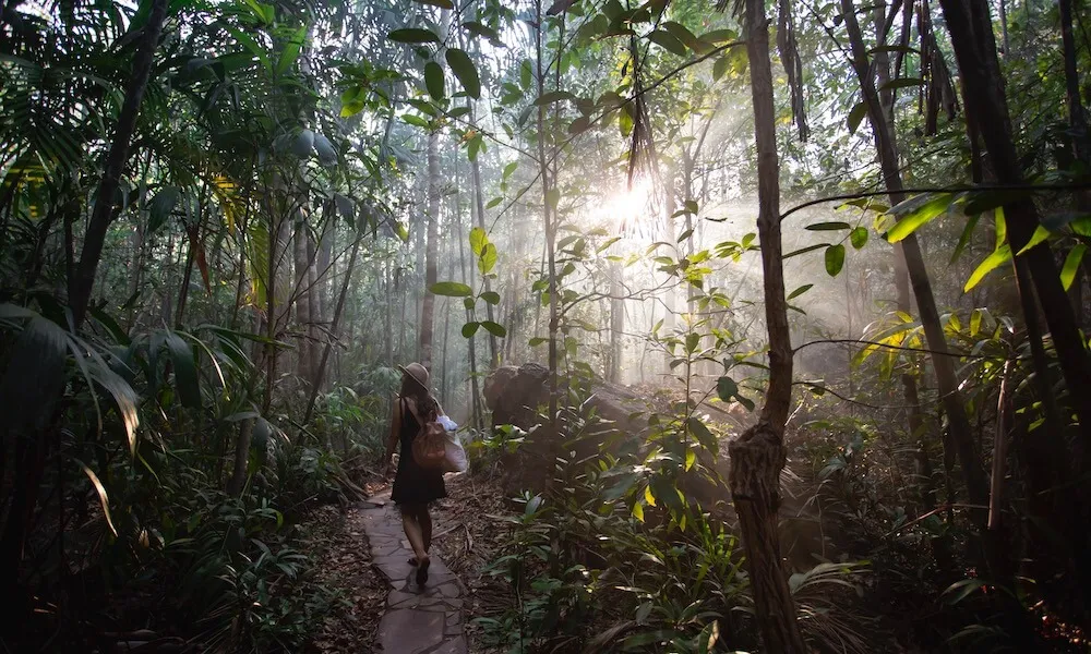 Litchfield National Park Day Tour with Lunch - Book Now | Experience Oz-4