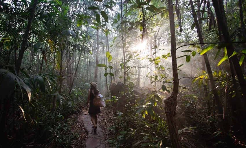 Litchfield National Park Day Tour with Lunch - Book Now | Experience Oz
