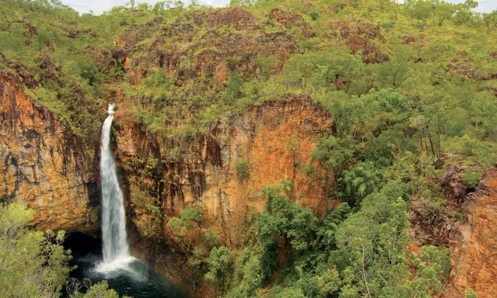 Litchfield National Park Day Tour with Lunch - Book Now | Experience Oz-6
