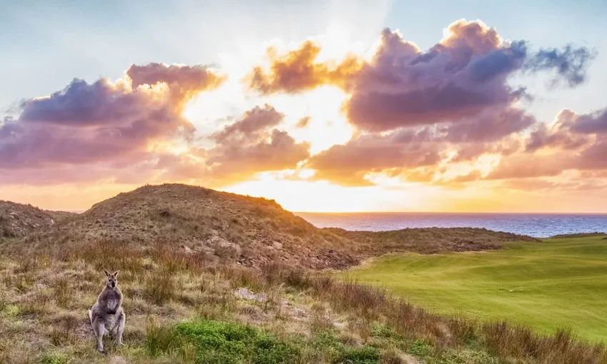 3 Night Stay & Play Experience at Cape Wickham Golf Links | Experience Oz