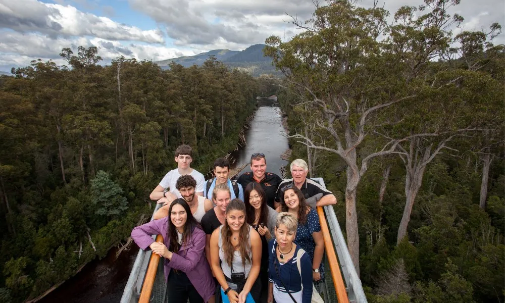 Tahune Airwalk and Hastings Caves Guided Tour | Experience Oz-9