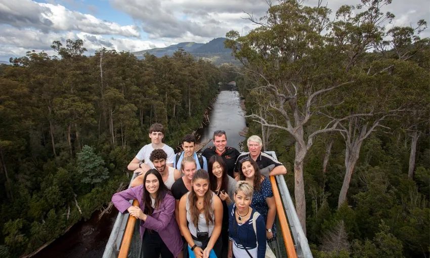 Tahune Airwalk and Hastings Caves Guided Tour | Experience Oz