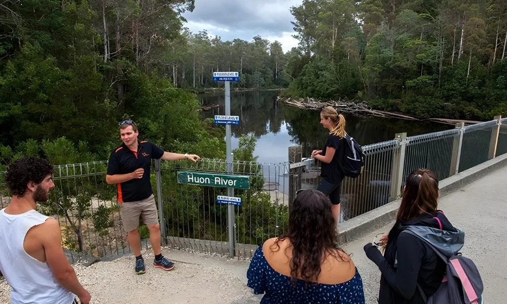Tahune Airwalk and Hastings Caves Guided Tour | Experience Oz-5