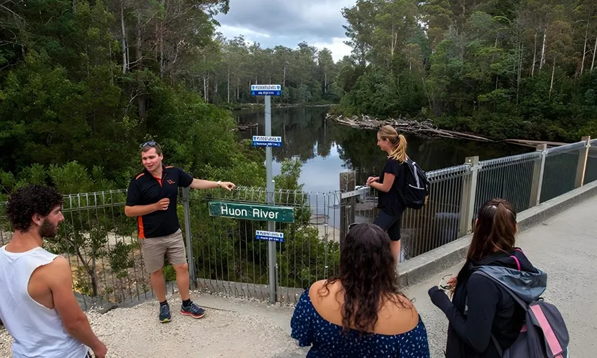 Tahune Airwalk and Hastings Caves Guided Tour | Experience Oz