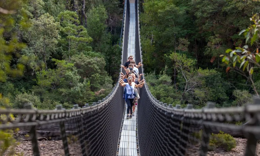 Tahune Airwalk and Hastings Caves Guided Tour | Experience Oz