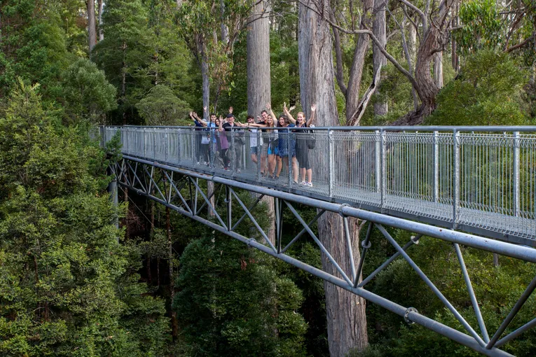 Tahune Airwalk and Hastings Caves Guided Tour | Experience Oz