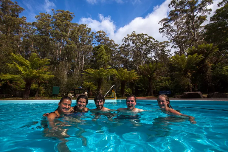 Tahune Airwalk and Hastings Caves Guided Tour | Experience Oz
