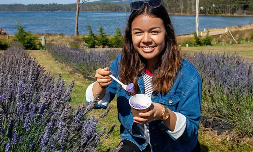 Port Arthur and Lavender Farm Guided Tour | Experience Oz