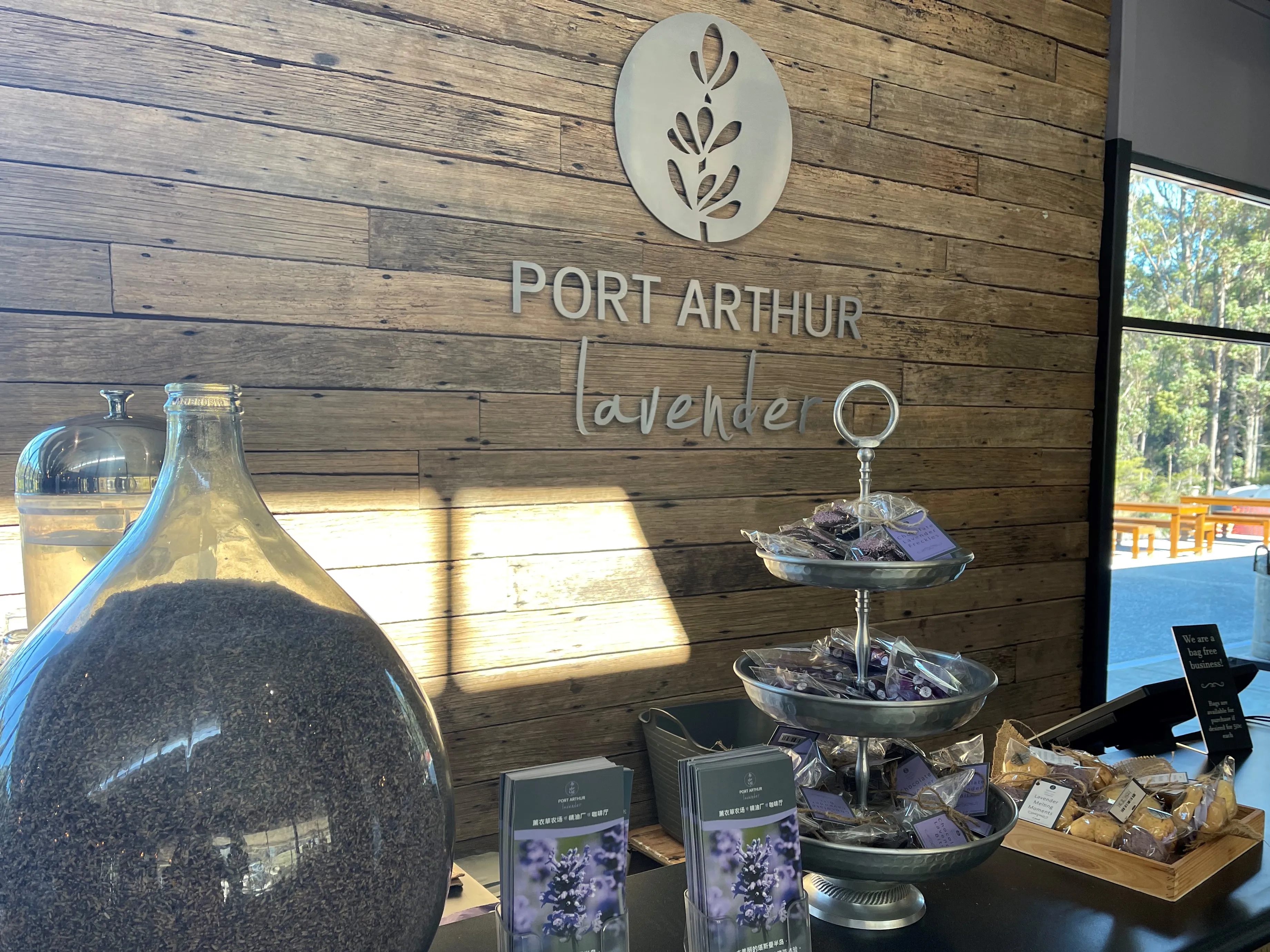 Port Arthur and Lavender Farm Guided Tour | Experience Oz-4