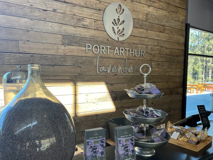 Port Arthur and Lavender Farm Guided Tour | Experience Oz