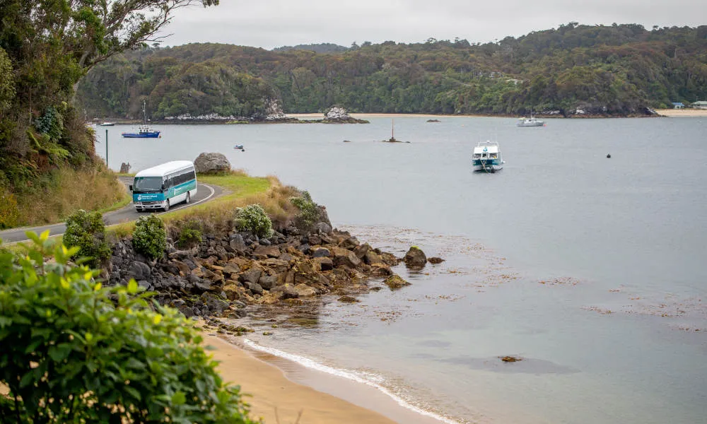Stewart Island Village and Bay Tour New Zealand | Experience Oz-3