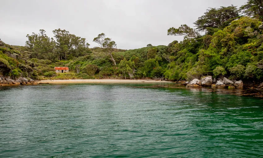 Paterson Inlet Cruise Stewart Island New Zealand | Experience Oz