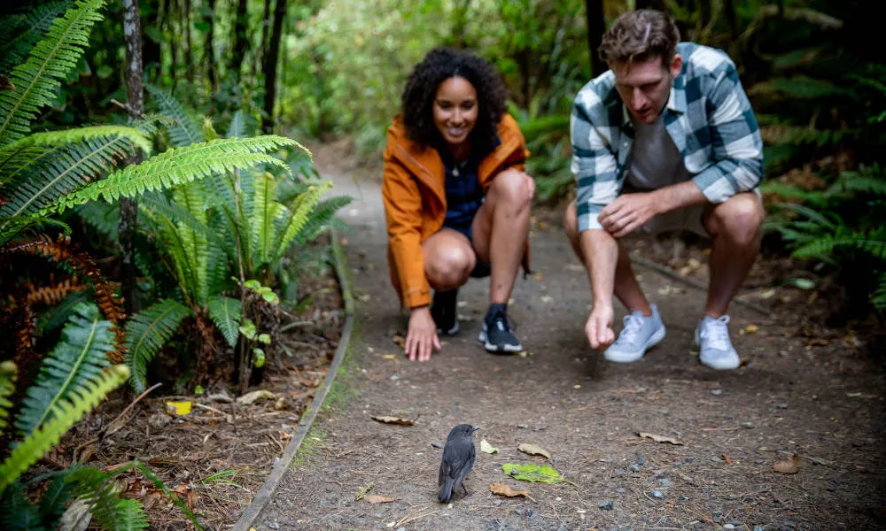 Paterson Inlet Cruise Stewart Island New Zealand | Experience Oz-2