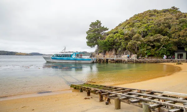 Ulva Island Explorer Cruise and Guided Walk