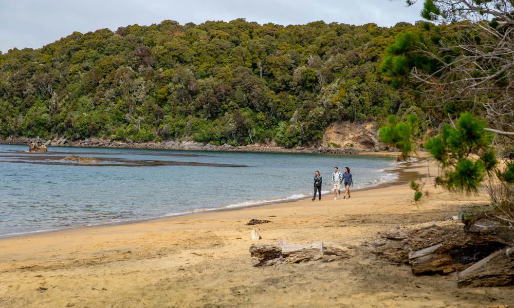 Paterson Inlet Cruise Stewart Island New Zealand | Experience Oz-5