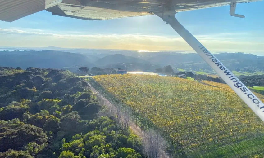 30 Minute Waiheke Island Flights - Book Now | Experience Oz