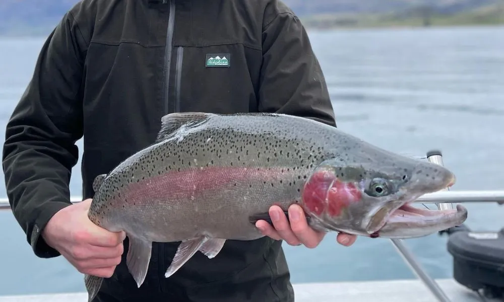 Shared Fishing Charter - 2 Hours - Book Now | Experience OZ -2