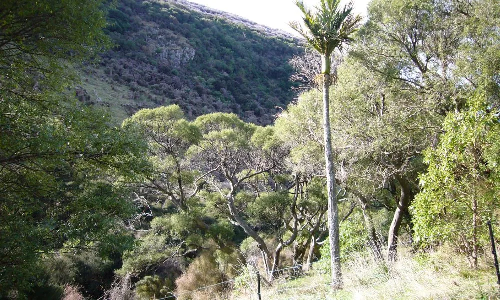 Full Day Hike and Kayak Combo  - Book Now | Experience Oz-4