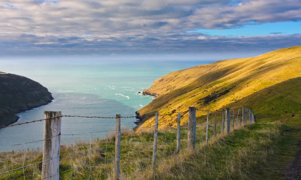 Half Day Sea Kayaking Safari - Book Now | Experience Oz-2