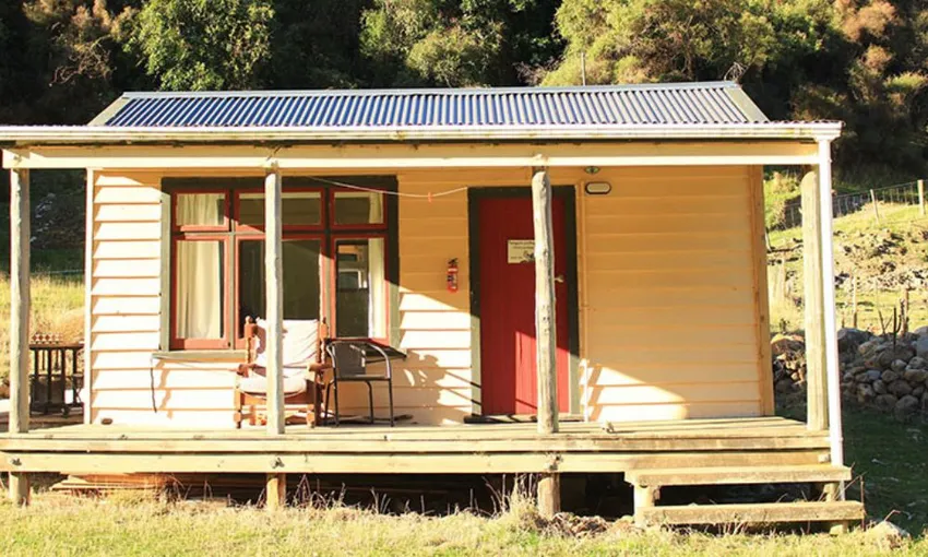 24 Hour Escape in Pohatu Bay with Penguin Tour | Local Agent