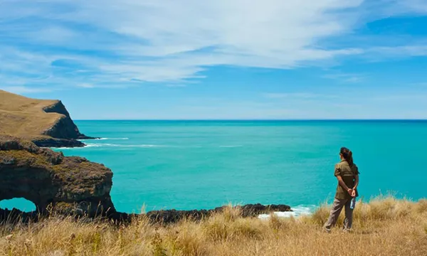 24 Hour Escape in Pohatu Bay with Penguin Tour