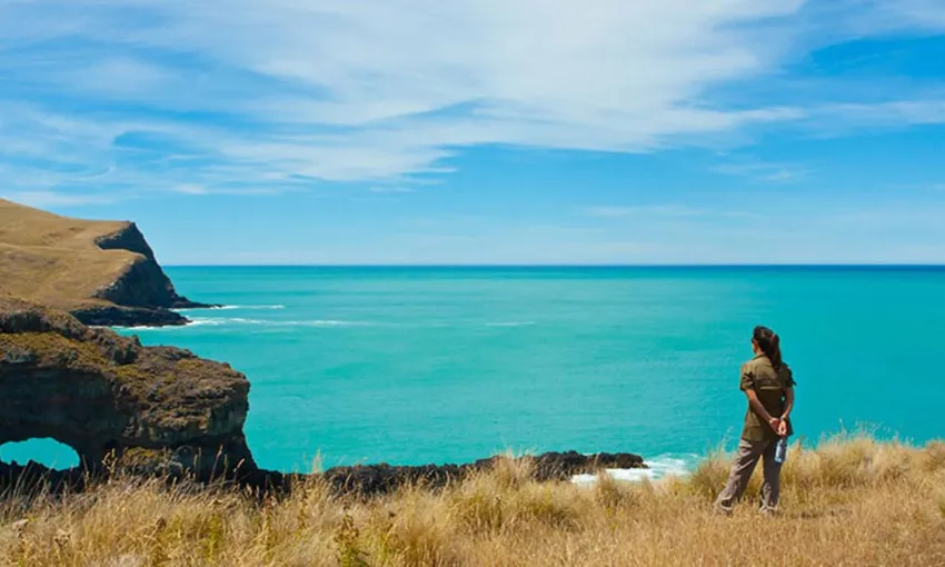 24 Hour Escape in Pohatu Bay with Penguin Tour | Local Agent