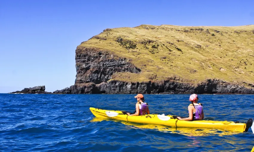Kayak and Evening Tour Combo - Book Now | Experience Oz