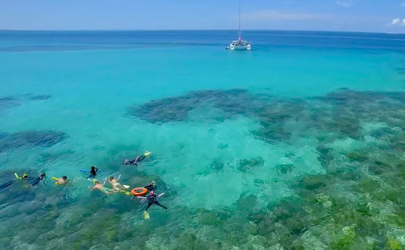 Great Barrier Reef Snorkel and Sailing Cruise - Full Day