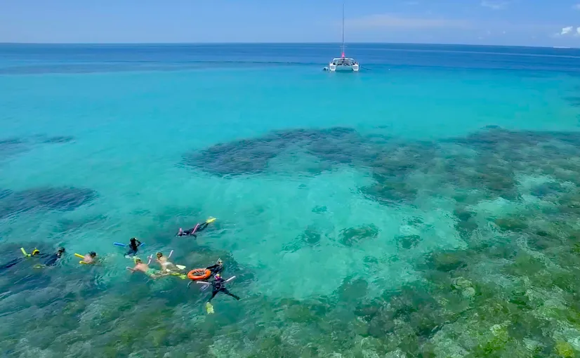 Great Barrier Reef Snorkel, Scuba Tour - Full Day | Experience Oz