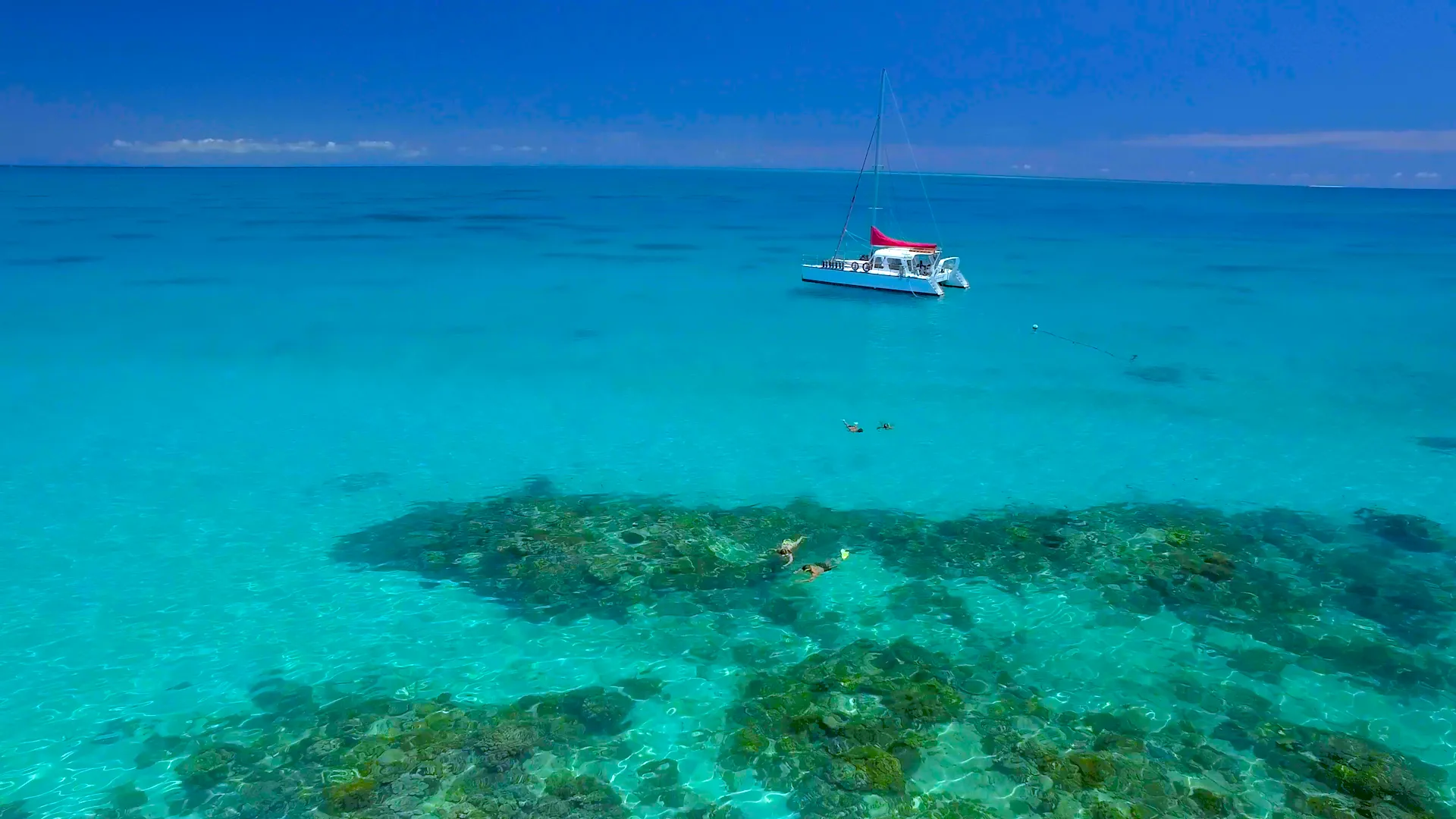 Great Barrier Reef Snorkel, Scuba Tour - Full Day | Experience Oz-2