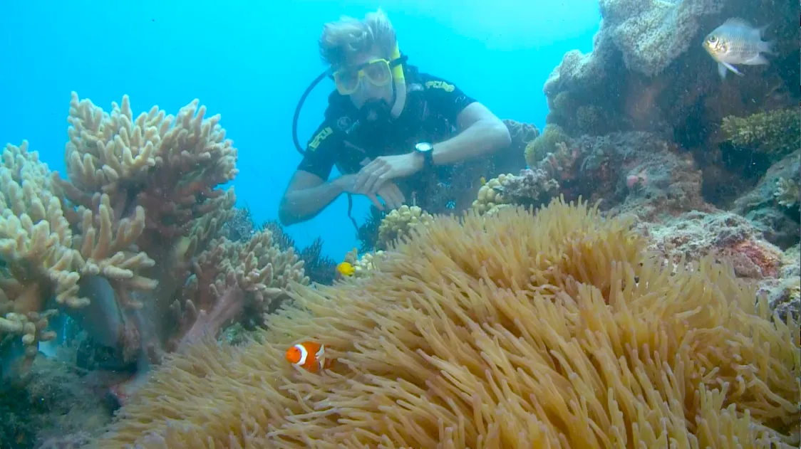 Great Barrier Reef Snorkel, Scuba Tour - Full Day | Experience Oz-3