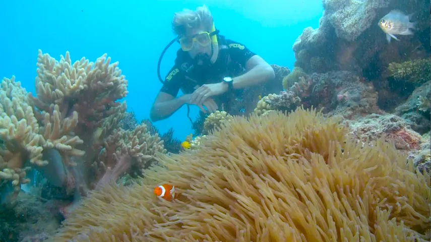 Great Barrier Reef Snorkel, Scuba Tour - Full Day | Experience Oz