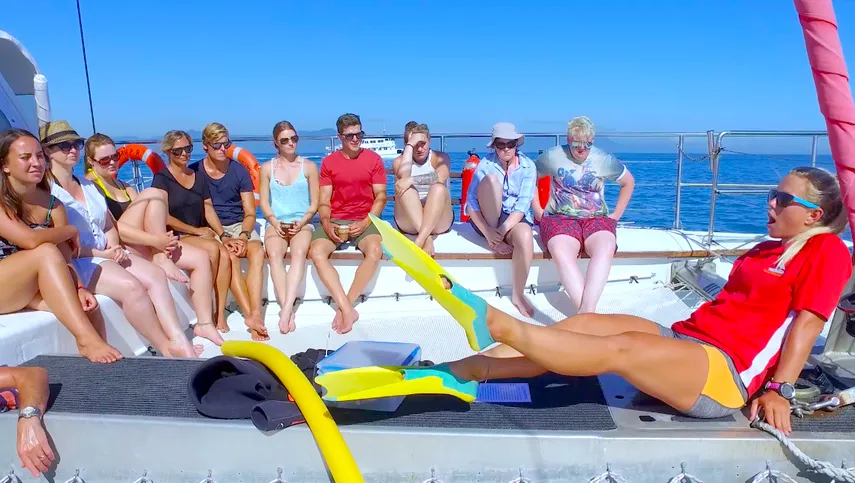 Great Barrier Reef Snorkel, Scuba Tour - Full Day | Experience Oz