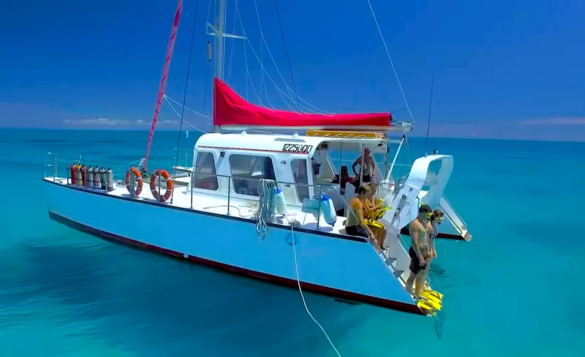 Great Barrier Reef Snorkel, Scuba Tour - Full Day | Experience Oz