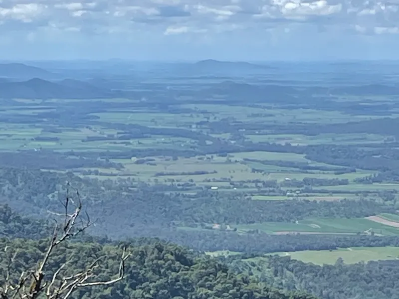 Eungella National Park Rainforest & Wild Platypus Encounter - Full Day| Experience Oz-6