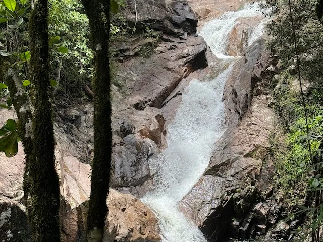 Eungella National Park Rainforest & Wild Platypus Encounter - Full Day| Experience Oz-5