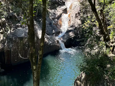 Eungella National Park Rainforest & Platypus Tour - Full Day