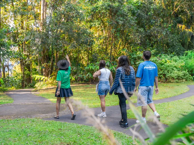 Eungella National Park Rainforest & Wild Platypus Encounter - Full Day| Experience Oz