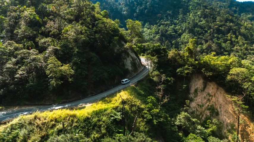 Eungella National Park Rainforest & Wild Platypus Encounter - Full Day| Experience Oz