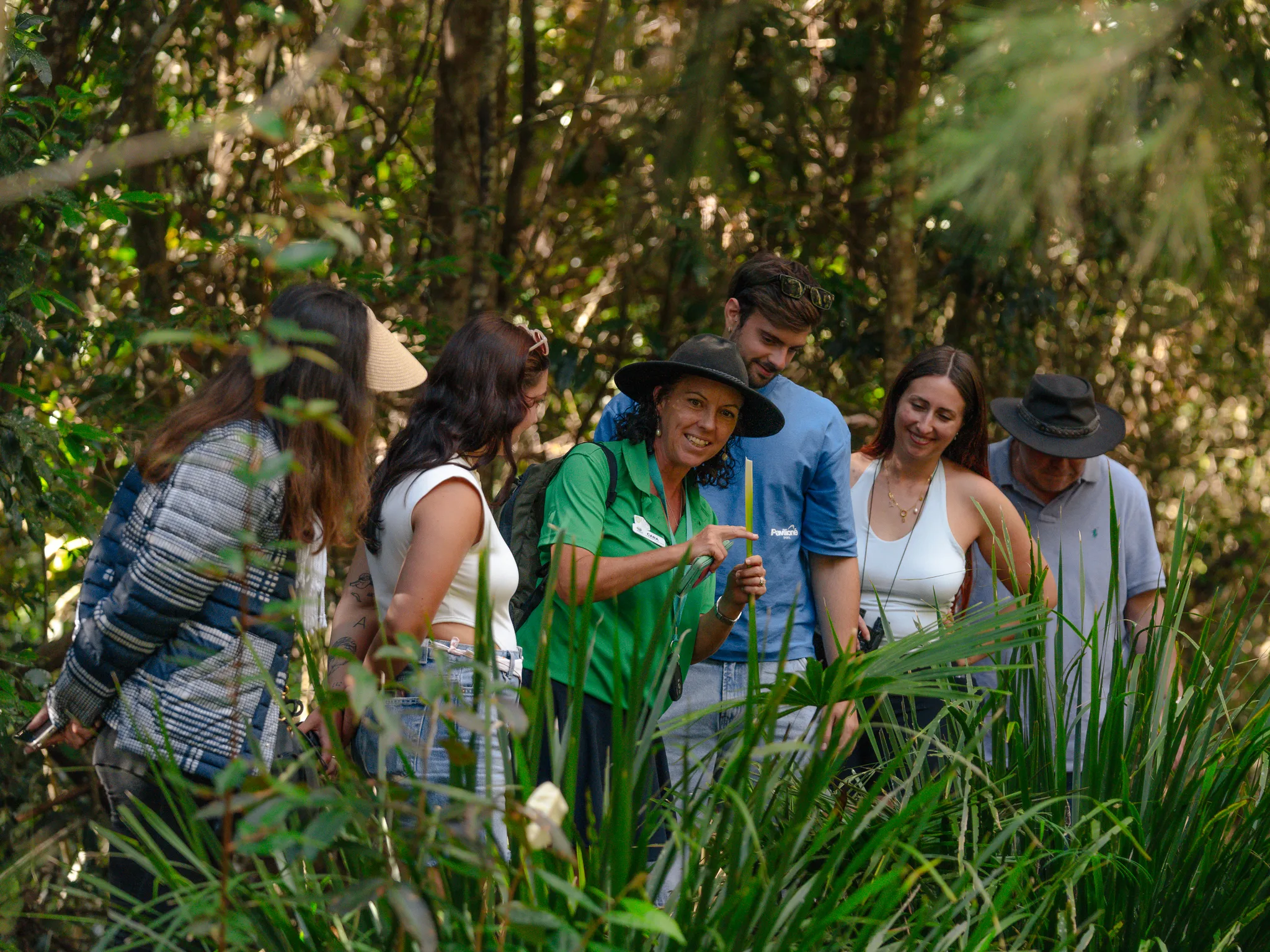 Eungella National Park Rainforest & Wild Platypus Encounter - Full Day| Experience Oz-4