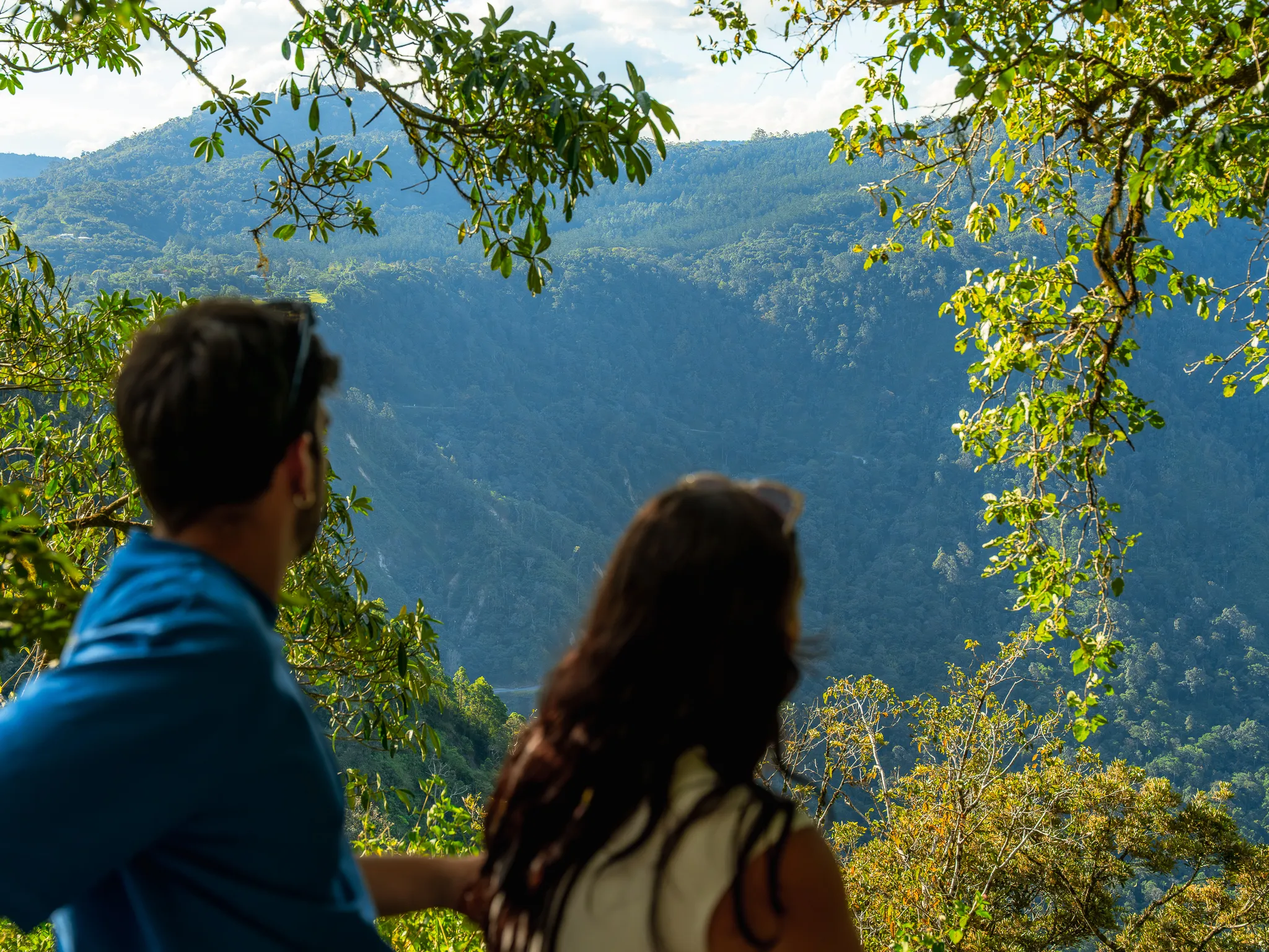 Eungella National Park Rainforest & Wild Platypus Encounter - Full Day| Experience Oz-5