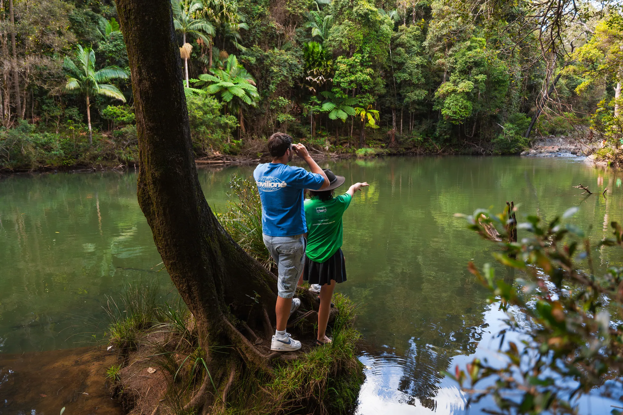 Eungella National Park Rainforest & Wild Platypus Encounter - Full Day| Experience Oz-13