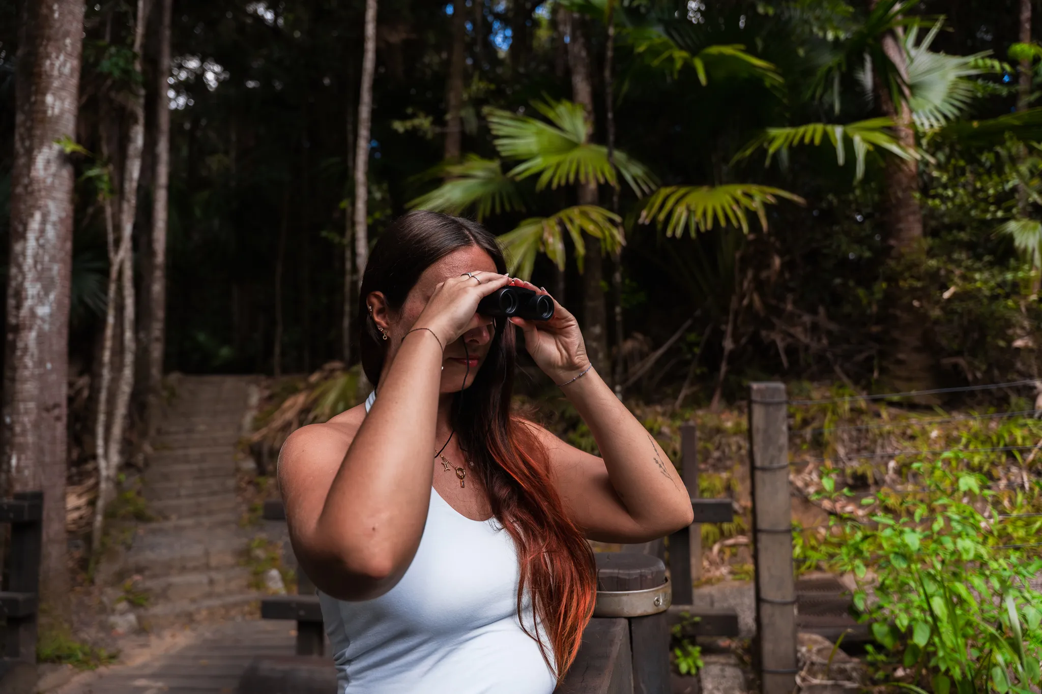 Eungella National Park Rainforest & Wild Platypus Encounter - Full Day| Experience Oz-20