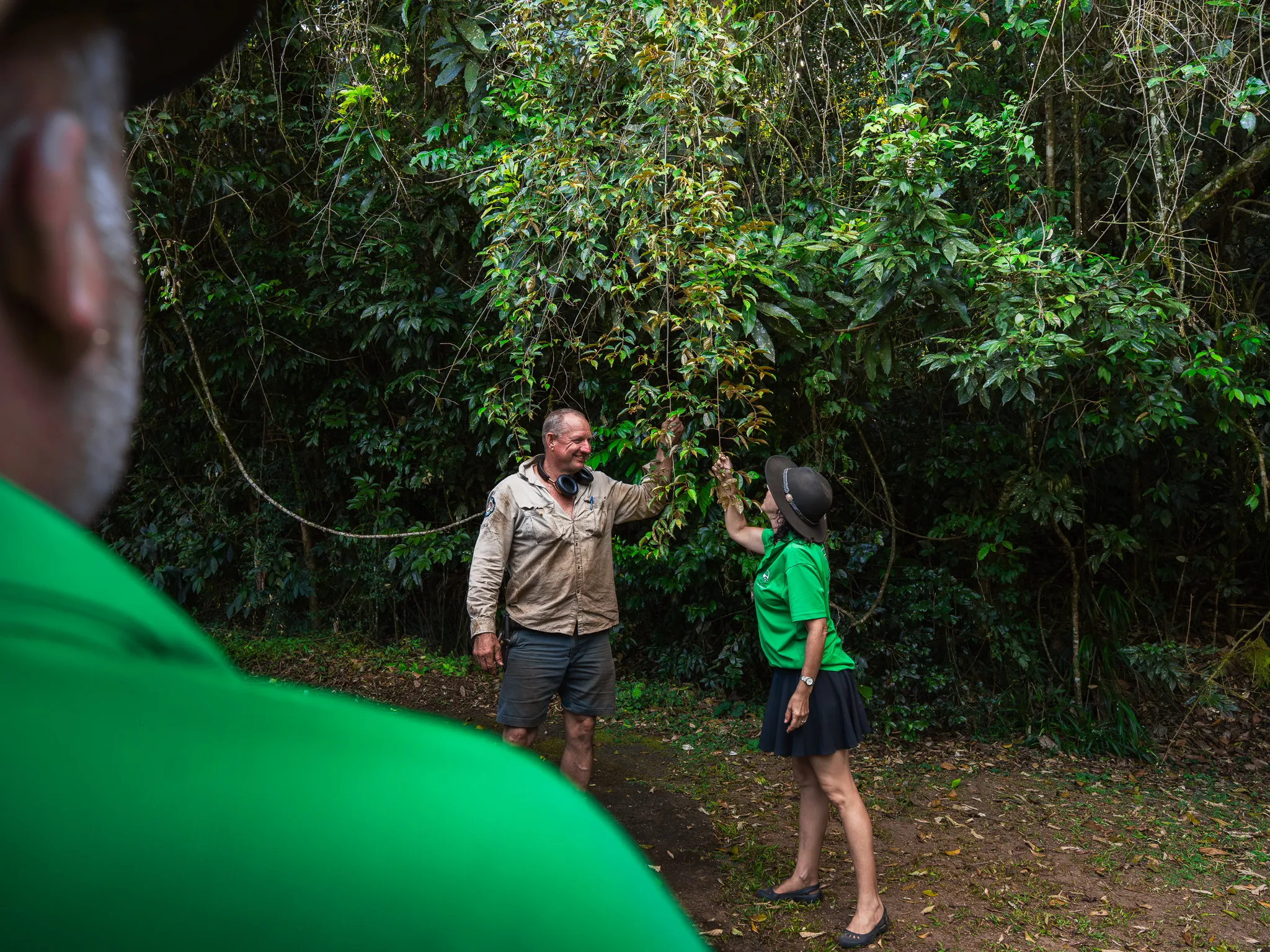 Eungella National Park Rainforest & Wild Platypus Encounter - Full Day| Experience Oz-21