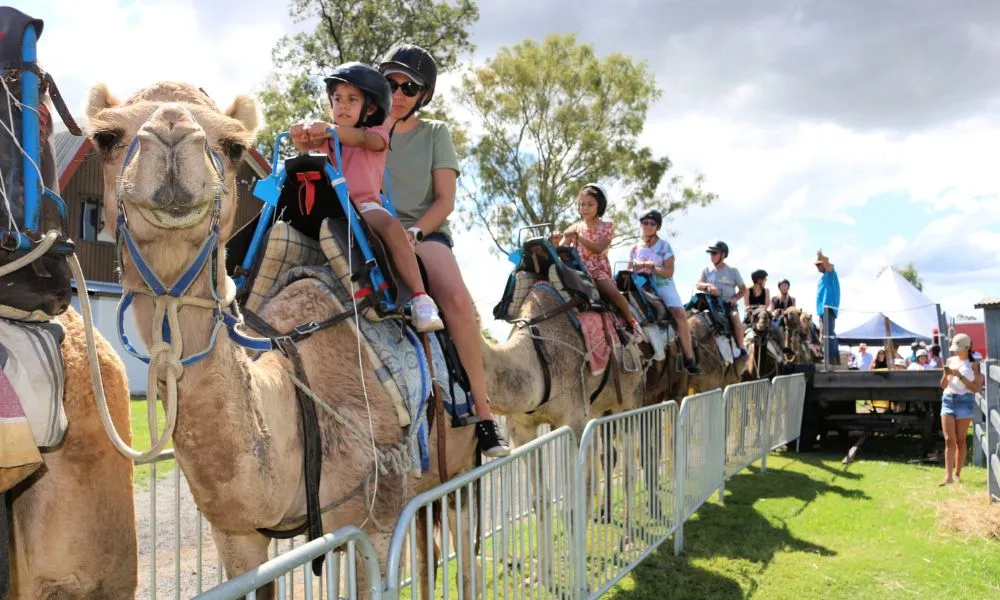 Summer Land Camel Trail Ride - 40 Minutes | Experience Oz-1